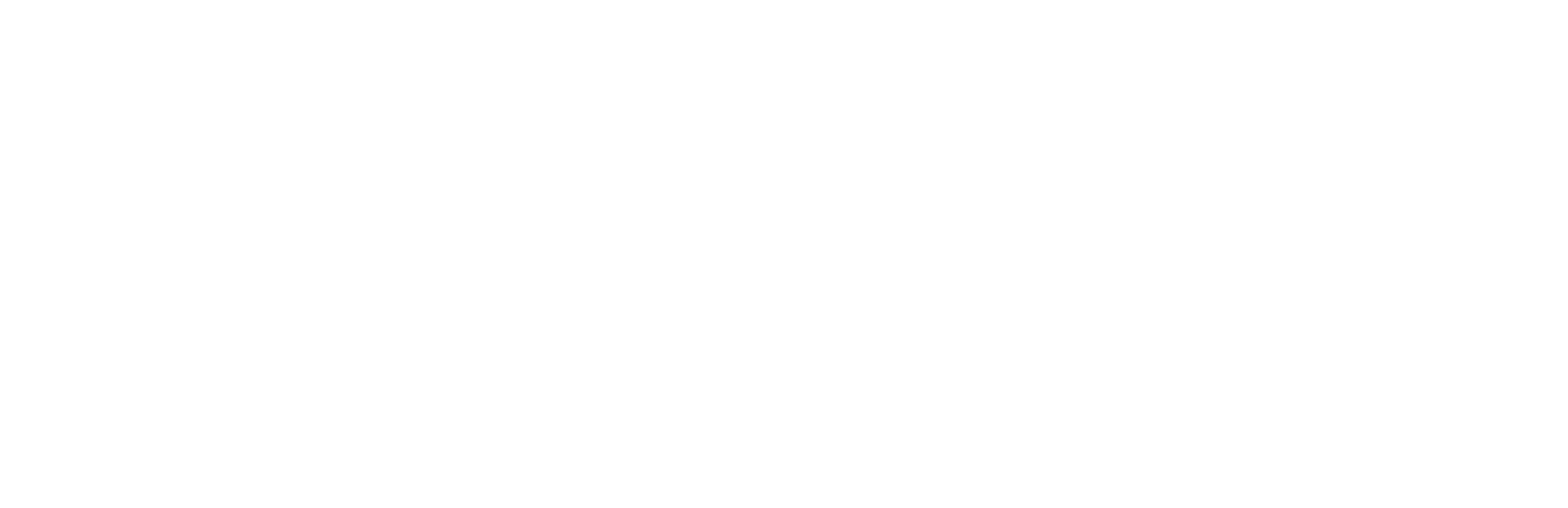 Botfuse logo